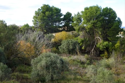 Finca i Caspe, Zaragoza, Caspe - € 29.500 | Ref: 0976 - foto 16