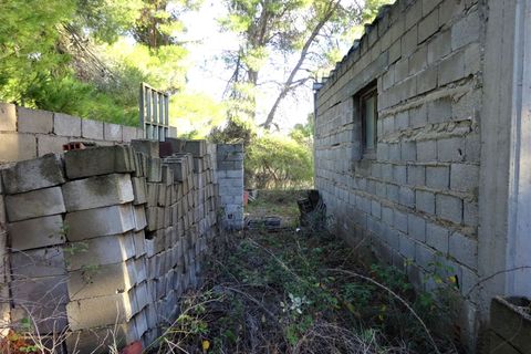 Finca i Caspe, Zaragoza, Caspe - € 29.500 | Ref: 0976 - foto 27