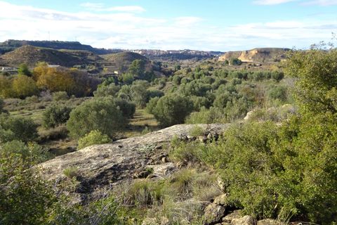 Finca i Caspe, Zaragoza, Caspe - € 29.500 | Ref: 0976 - foto 13