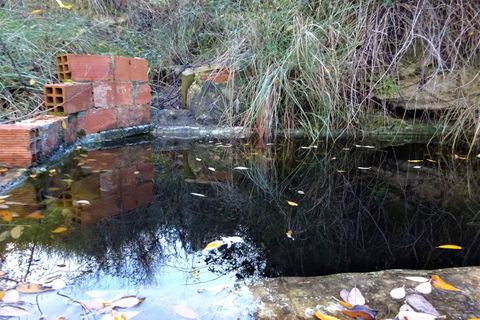 Finca i Caspe, Zaragoza, Caspe - € 29.500 | Ref: 0976 - foto 19