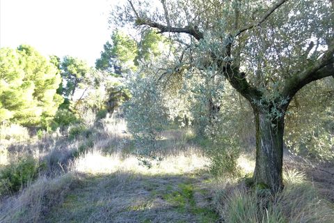 Finca i Caspe, Zaragoza, Caspe - € 29.500 | Ref: 0976 - foto 20