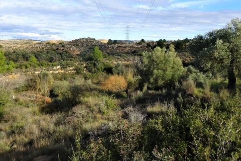 Finca i Caspe, Zaragoza, Caspe - € 29.500 | Ref: 0976 - foto 11