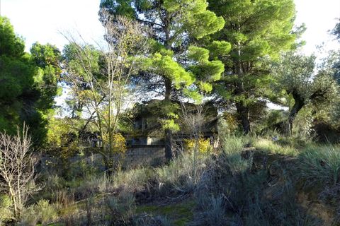 Finca i Caspe, Zaragoza, Caspe - € 29.500 | Ref: 0976 - foto 21