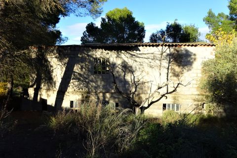 Finca i Caspe, Zaragoza, Caspe - € 29.500 | Ref: 0976 - foto 10