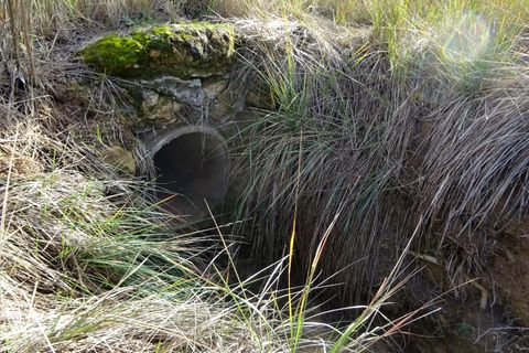 Finca i Caspe, Zaragoza, Caspe - € 29.500 | Ref: 0976 - foto 17