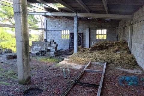 Finca i Caspe, Zaragoza, Caspe - € 29.500 | Ref: 0976 - foto 32