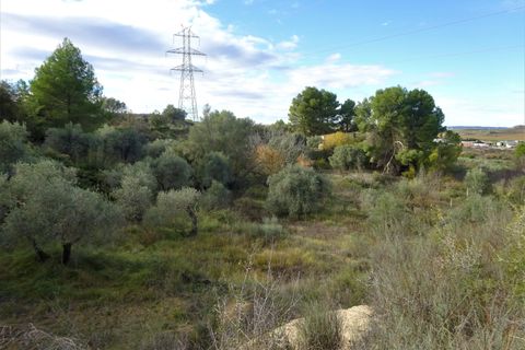 Finca i Caspe, Zaragoza, Caspe - € 29.500 | Ref: 0976 - foto 15