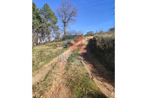 Farm i Ferro, Castelo Branco, Ferro - € 25.000 | Ref: 44008/25COV - foto 2