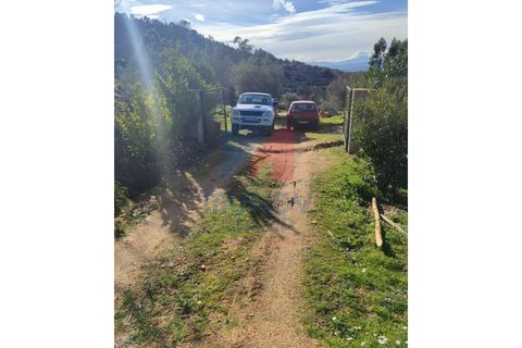 Farm i Ferro, Castelo Branco, Ferro - € 25.000 | Ref: 44008/25COV - foto 3