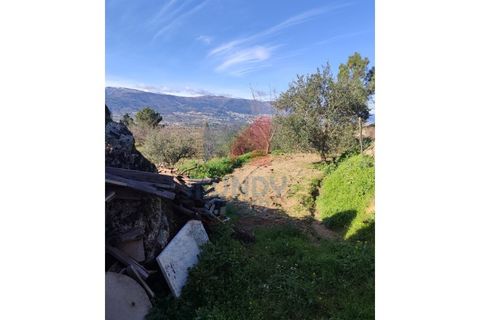 Farm i Ferro, Castelo Branco, Ferro - € 25.000 | Ref: 44008/25COV - foto 4