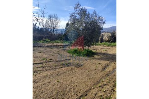 Farm i Ferro, Castelo Branco, Ferro - € 25.000 | Ref: 44008/25COV - foto 6