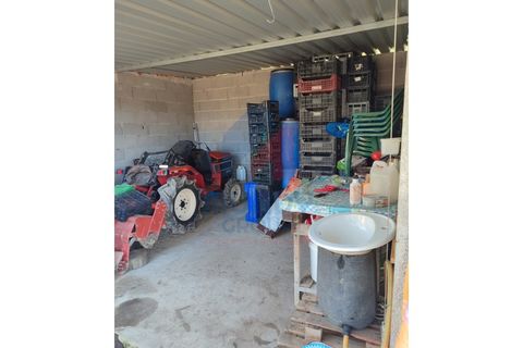 Farm i Ferro, Castelo Branco, Ferro - € 25.000 | Ref: 44008/25COV - foto 8