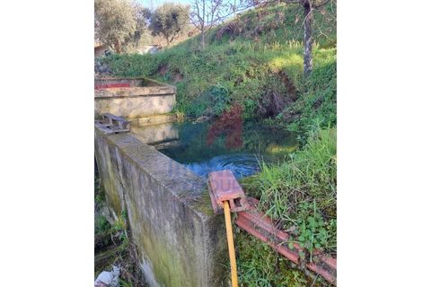 Farm i Ferro, Castelo Branco, Ferro - € 25.000 | Ref: 44008/25COV - foto 11
