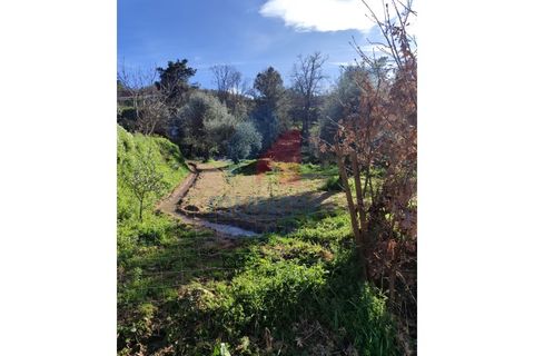 Farm i Ferro, Castelo Branco, Ferro - € 25.000 | Ref: 44008/25COV - foto 12