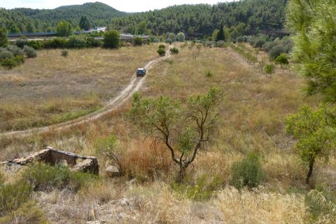 Finca i Caseres, Tarragona, Caseres - € 8 500 | Ref: 1085 - foto 21