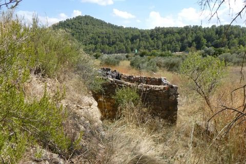 Finca i Caseres, Tarragona, Caseres - € 8 500 | Ref: 1085 - foto 11