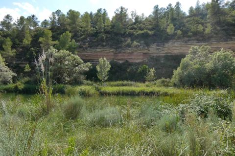 Finca i Caseres, Tarragona, Caseres - € 8 500 | Ref: 1085 - foto 20