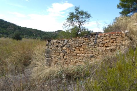 Finca i Caseres, Tarragona, Caseres - € 8 500 | Ref: 1085 - foto 9
