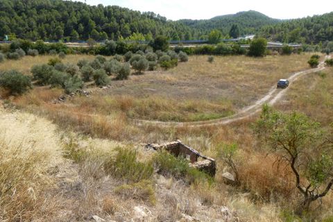 Finca i Caseres, Tarragona, Caseres - € 8 500 | Ref: 1085 - foto 13
