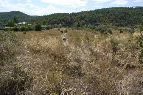 Finca i Caseres, Tarragona, Caseres - € 8 500 | Ref: 1085 - foto 16