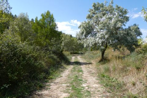 Finca i Caseres, Tarragona, Caseres - € 8 500 | Ref: 1085 - foto 19