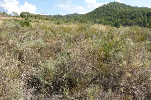 Finca i Caseres, Tarragona, Caseres - € 8 500 | Ref: 1085 - foto 18