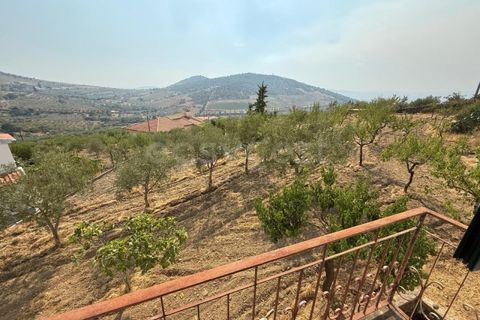 Villa i Torre de Moncorvo, Braganca, Torre de Moncorvo - € 119.000 | Ref: BG97879TM - foto 14