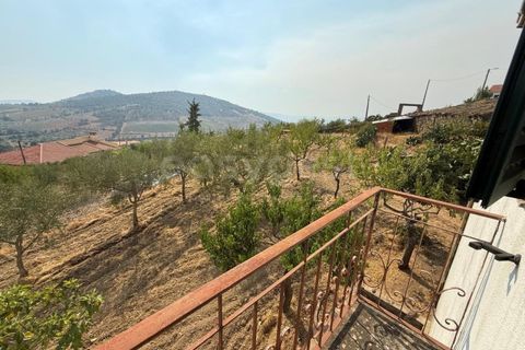 Villa i Torre de Moncorvo, Braganca, Torre de Moncorvo - € 119.000 | Ref: BG97879TM - foto 15
