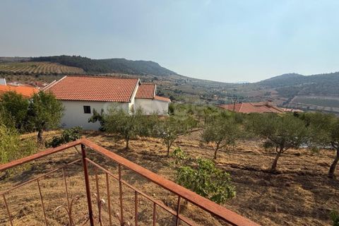 Villa i Torre de Moncorvo, Braganca, Torre de Moncorvo - € 119.000 | Ref: BG97879TM - foto 16