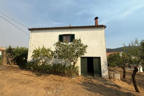Villa i Torre de Moncorvo, Braganca, Torre de Moncorvo - € 119.000 | Ref: BG97879TM - foto 17