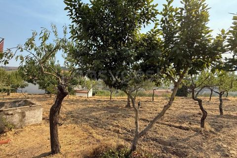 Villa i Torre de Moncorvo, Braganca, Torre de Moncorvo - € 119.000 | Ref: BG97879TM - foto 19