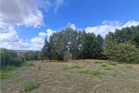 Helårsgrund i Penafiel, Porto, Penafiel - € 195.000 | Ref: 120781463-98 - foto 18