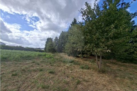 Helårsgrund i Penafiel, Porto, Penafiel - € 195.000 | Ref: 120781463-98 - foto 21