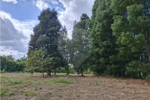 Helårsgrund i Penafiel, Porto, Penafiel - € 195.000 | Ref: 120781463-98 - foto 22
