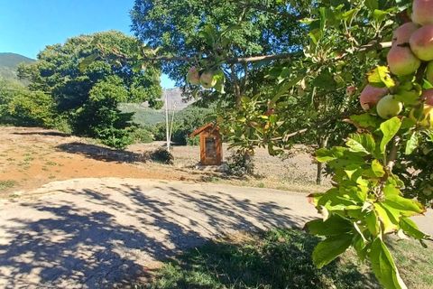 Villa a Amaseno, Frosinone, Amaseno - € 29.900 | Ref: 2106 - foto 24