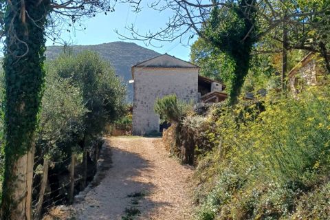 Villa a Amaseno, Frosinone, Amaseno - € 29.900 | Ref: 2106 - foto 26