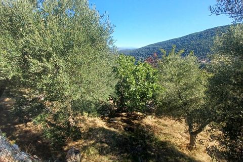Villa a Amaseno, Frosinone, Amaseno - € 29.900 | Ref: 2106 - foto 29