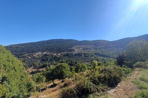 Villa a Amaseno, Frosinone, Amaseno - € 29.900 | Ref: 2106 - foto 31