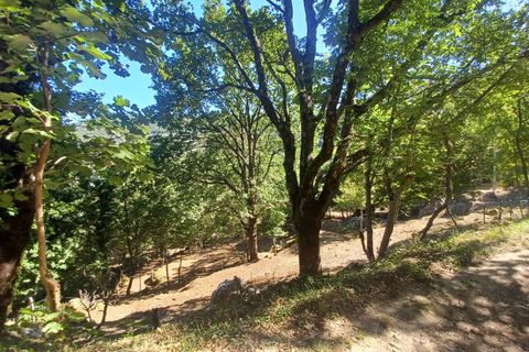 Villa a Amaseno, Frosinone, Amaseno - € 29.900 | Ref: 2106 - foto 32