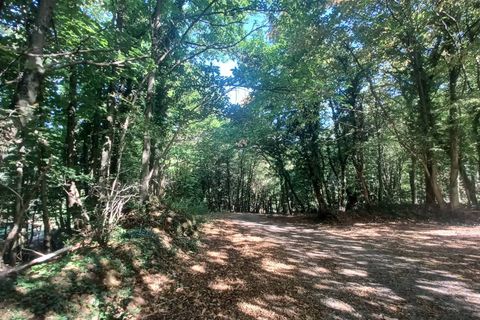 Villa a Amaseno, Frosinone, Amaseno - € 29.900 | Ref: 2106 - foto 33