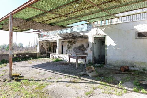 Villa i Trecase, Naples, Trecase - € 390 000 | Ref: 18 - foto 14