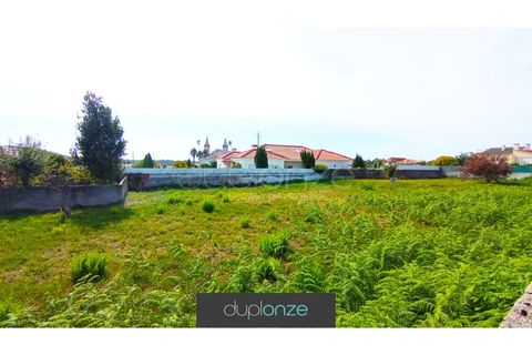 Tomt i Cortegaca, Aveiro, Cortegaca - € 195 000 | Ref: TER_45 - foto 5