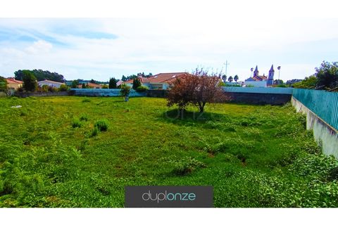 Tomt i Cortegaca, Aveiro, Cortegaca - € 195 000 | Ref: TER_45 - foto 6