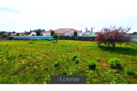 Tomt i Cortegaca, Aveiro, Cortegaca - € 195 000 | Ref: TER_45 - foto 8