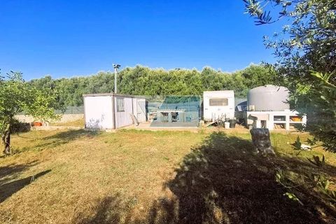 Helårsgrund i Noto, Siracusa, Noto - € 85.000 | Ref: NT TCAM 31 - foto 3