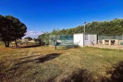 Helårsgrund i Noto, Siracusa, Noto - € 85.000 | Ref: NT TCAM 31 - foto 5