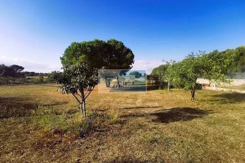 Helårsgrund i Noto, Siracusa, Noto - € 85.000 | Ref: NT TCAM 31 - foto 6