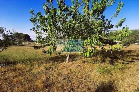 Helårsgrund i Noto, Siracusa, Noto - € 85.000 | Ref: NT TCAM 31 - foto 7