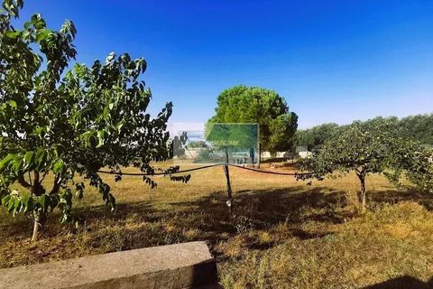 Helårsgrund i Noto, Siracusa, Noto - € 85.000 | Ref: NT TCAM 31 - foto 8