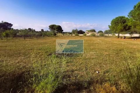 Helårsgrund i Noto, Siracusa, Noto - € 85.000 | Ref: NT TCAM 31 - foto 9